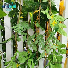 �����������Ϲ��������p�@��@�L�b��ٗl�r��ׯ���r������̫��