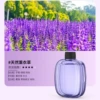 Lavender oil, 50 ml