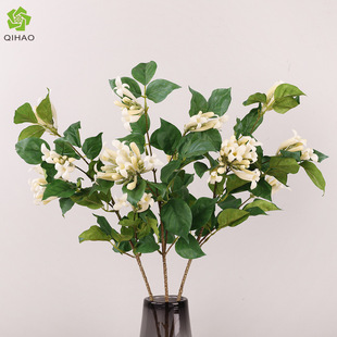 ��ʽ���̷��滨��c�û���Y���������b[���ٻ��������̻����l