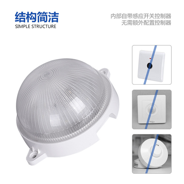 Induction bulb with light music
