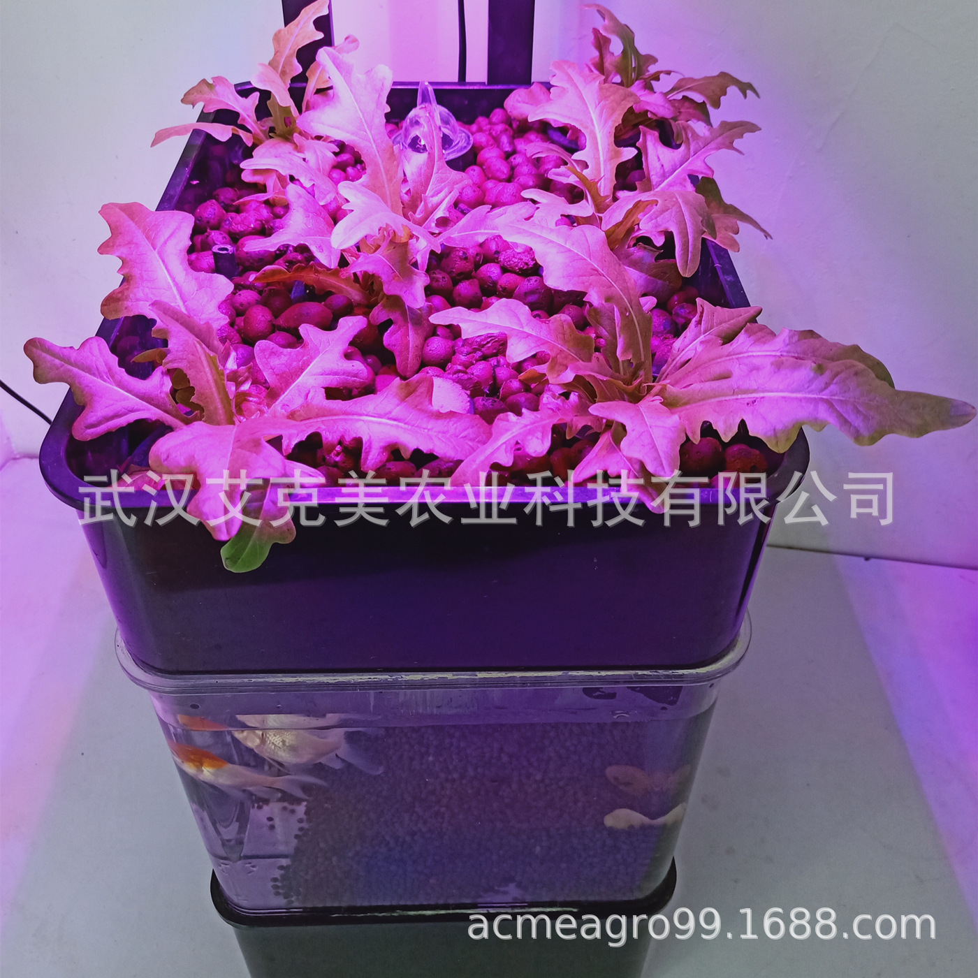 微信图片_20191128124713_副本