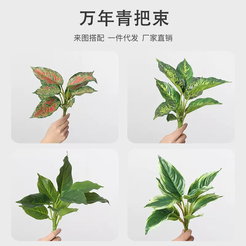 仿真绿植10叶万年青植物墙把束配件室内家居装饰假叶子假植物造景
