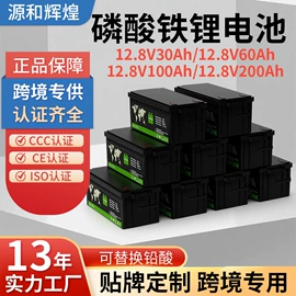 锂电池;其他电池