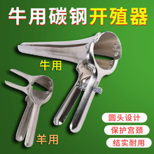 �F���_ǻ�� ţ���˹��ھ��O��ţ�ÔU�����_ֳ���F�U����Bֳ�O��