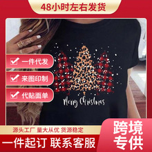 �羳ŷ��ŷ���Դ��������ʥ���ڿ���ʥ����ʥ�����˼�Լʱ�д���