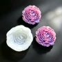 烘焙立体硅胶牡丹花工具