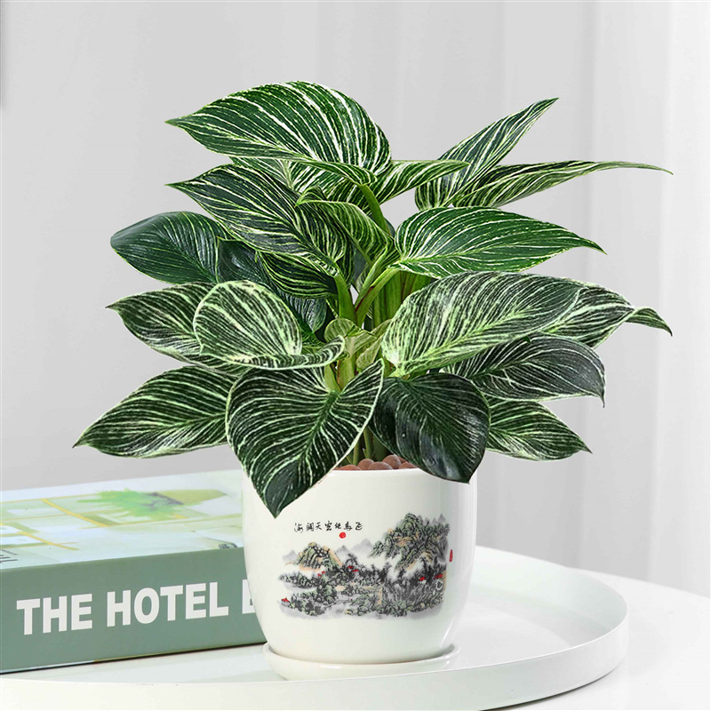 플래티넘 골드 드릴 30cm 높이 분지 3 넓은 하늘 세라믹 분지 + 영양 용액