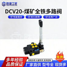 DCV20-ú�Vȫ�F��·�y������·�Q���yҺ���������քӆ��p������y