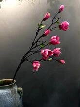 10�^�L�U�����m���������m����c���m����ľ�޻���̖�V���m�ٻ�