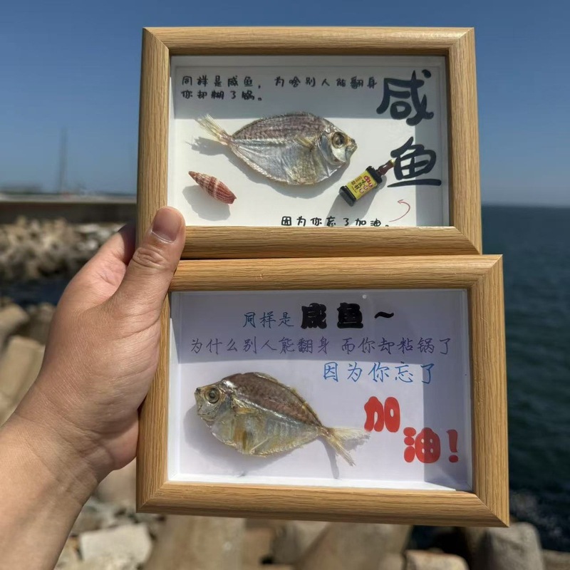 送料無料天然法螺貝塩漬け魚ナマコカニ標本フォトフレーム装飾品海辺クリエイティブギフト誕生日ギフト|undefined