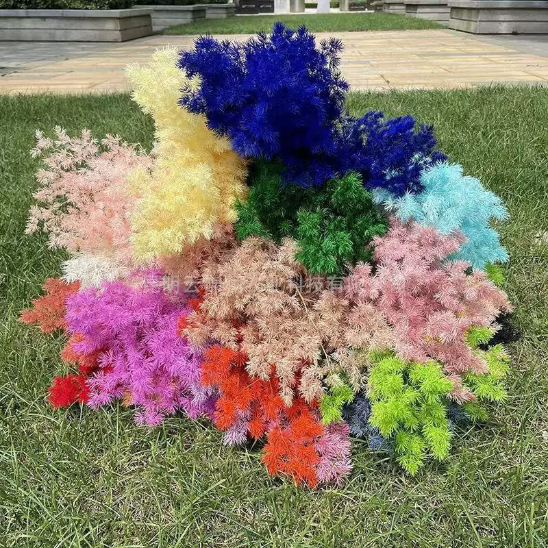 永生蓬莱松永生花雪松浮游礼盒玻璃罩材料婚庆diy花材蓬莱松干花