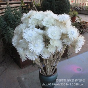 ��ʯɺ����С�y�ռҾ��b����������λ�DIY�[��