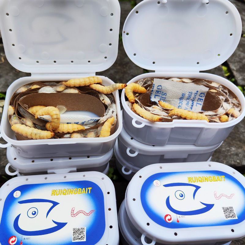 一键上货_20241007175236