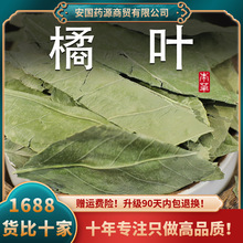 橘叶中药材500g新鲜干橘子叶桔叶桔子叶青桔叶柑橘叶橘叶茶可打粉