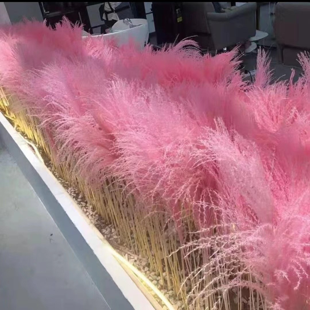 32415883bf93ab638ed71000d23df9