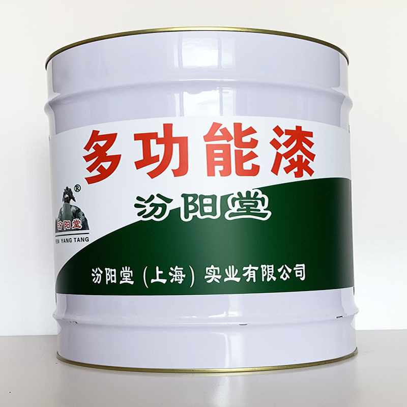 多功能漆、诚信经营、多功能漆材料、现货供应