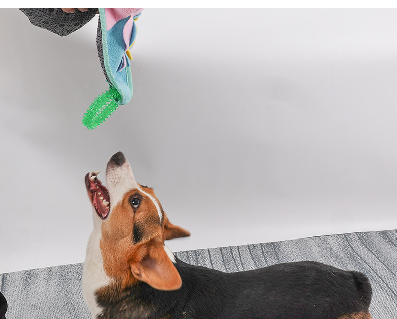Sniffing Mat For Dogs Educational Slow Feeder & Stress Relief Toy_voghion.com