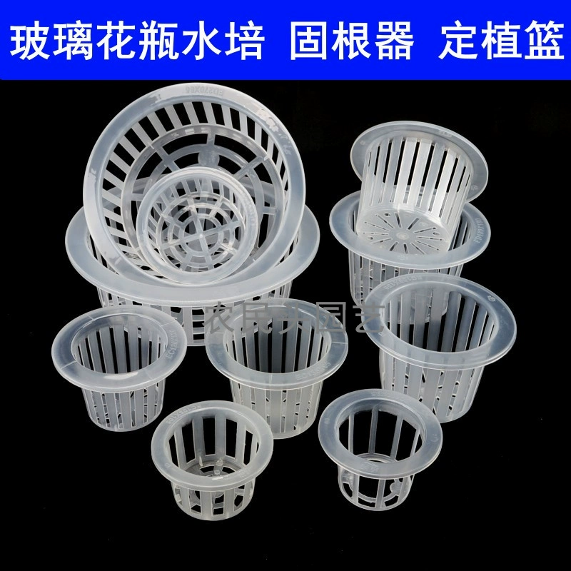 Беспочвенные корзины для выращивания гидропонных овощей, цветы, укоренение, орхидеи, укоренение, стеклянная ваза