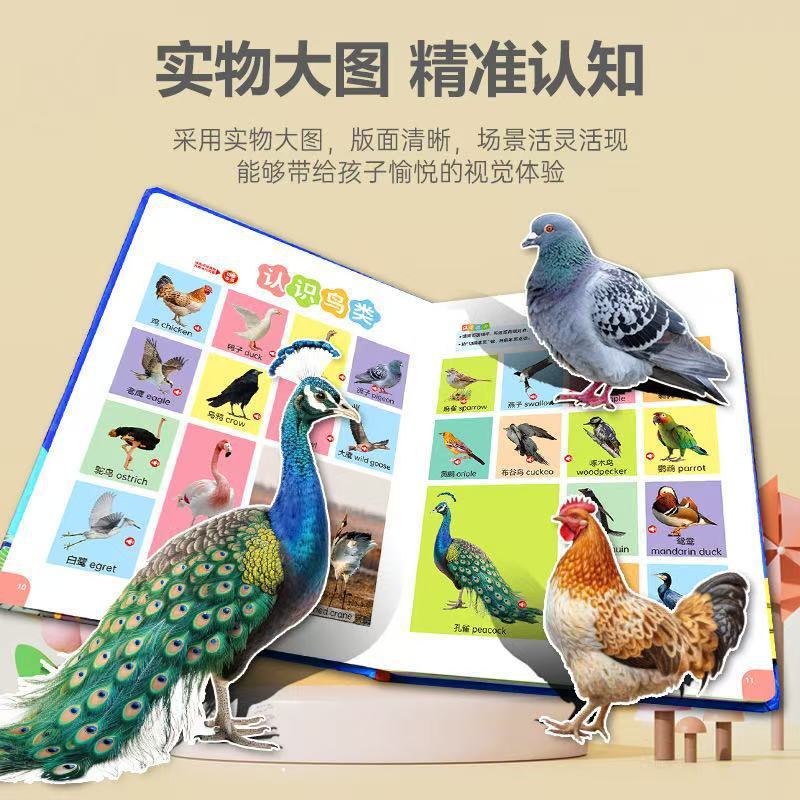 0-6歳のトーキングオーディオ早期教育ブック、赤ちゃん啓発学習マシン、読書サウンドブック、子供用知育玩具|undefined