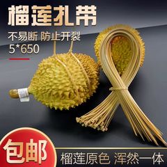 5 * 650mmザクロ蓮結帯長プラスチック大サイズ厚手束ザクロ蓮色結帯延長ナイロン長65センチ