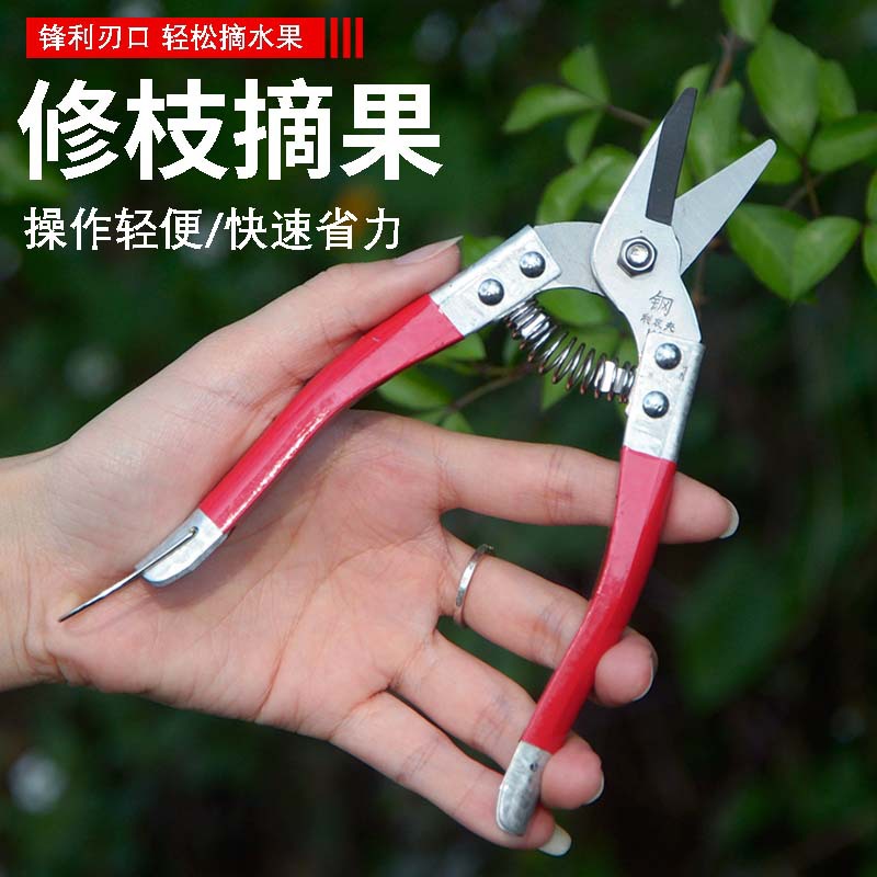园艺修枝剪刀省力剪摘果剪盆景采果剪稀果疏花剪修花枝剪不锈钢剪