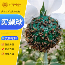 �r�ø��ٌ�ω�T����ˈ@���@���xճ����Ϲ���ω��ω�T������