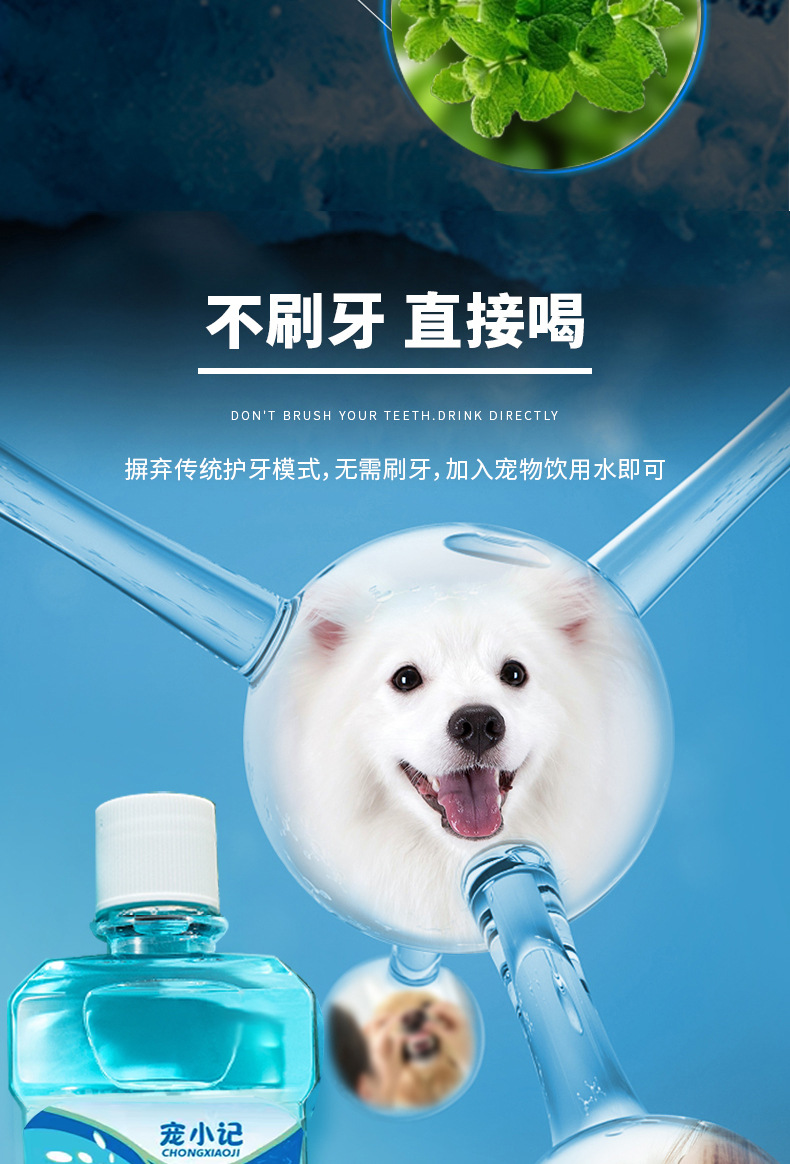 宠物漱口水_05.jpg