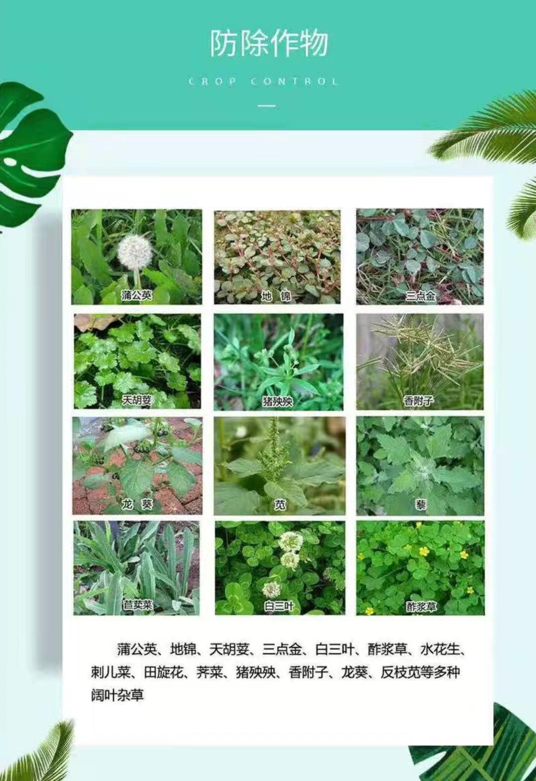 ΢ͼƬ_20210305143855