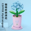 Pig-hydrangea [Beautiful Fantasy]