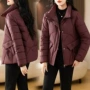 新款秋冬立领轻薄棉服