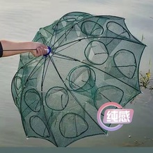 �~�r�\�~�W��W�~�\���r�W�з�\���~�W���q�\��W�W�t�S�X�\�O�W