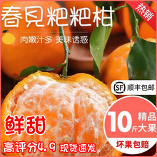 耙耙柑5斤9斤新鲜水果整箱当季应季橘子柑橘桔子斤蜜砂糖沃柑