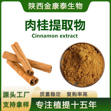 肉桂提取物 水溶性肉桂粉Cinnamomi Extract 1千克天然食品级多酚