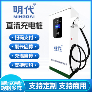 National Standard Commercial 120Kw Dc Charging Pile for New Energy Vehicles in the Ming Dynasty, Compatible with Byd and Tesla, Featuring Intelligent Fast Charging