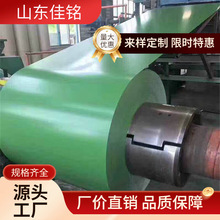 �ʉT���F؛���Ҳ�䓼�늰� ��̼���T�FƤ���Ͱ� ���ͺ����߃���