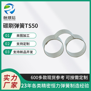 TS50̼ˢ���ɐa������ ���� ���P䓏����R�_̼ˢ�l�l���ɏS�����l