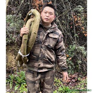 ���r��������������ˮ�b��ٗl�p�@���ٗl��c���ټ�ֲ���֦��