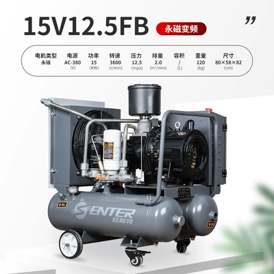 Integrated Auto Repair Real Stone — Hava kompressorları - 15v-125-permanent-magnet-screw-machine-380v