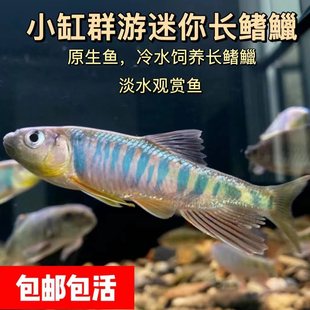 �����L���vС�ߴ��߲ʰlɫԭ���^�p�~Ϫ����ˮϪ��V�ص�ˮ�һ��~