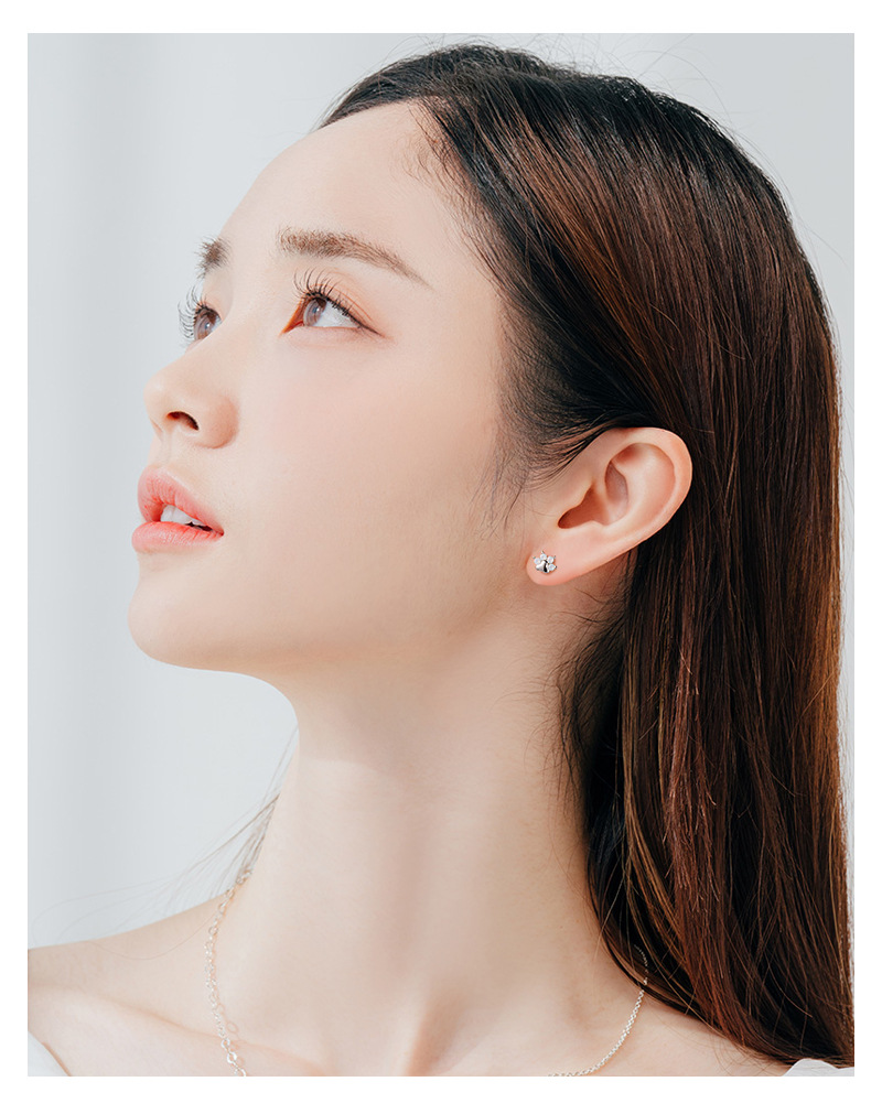 Ear Studs Classification 1 Pair Quantity Daily Occasion Silver Material Cat, Cat's paw Pattern 1 Pair Silver Cat Cat's Paw Zircon Ear Studs