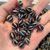 Agate retro round beads, 10mm