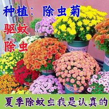 ļɫxxշNûNֲļNֲ׻ֲ