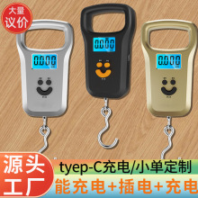 便携手提电子秤克秤精准电子称50kg手提称卖菜弹簧行李挂秤克重称