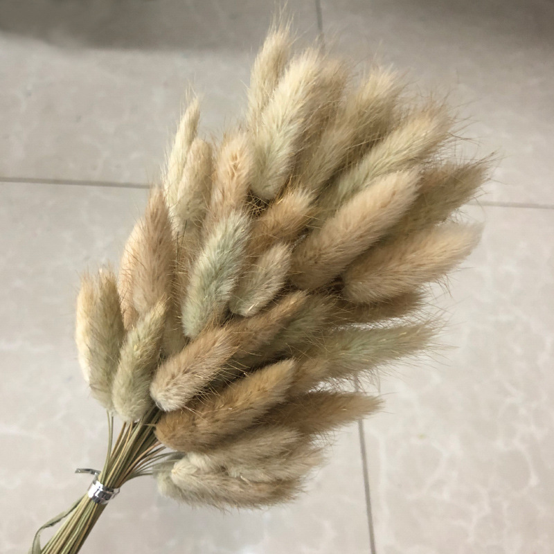 오리지널 컬러 토끼꼬리 60개