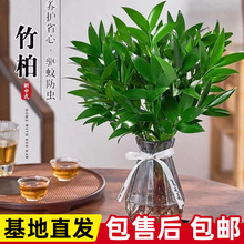 �ļ�������B���������Կ͏dˮ����������k����������С�辰