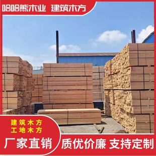 �S�����l�����ɹ���ľ������ľ�����ɹ���ľ��ľ�����Fɼľ��