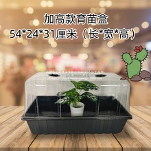 多肉闷养三件套热植花烛培育种子穴盘塑料盆育苗育苗生根扦插