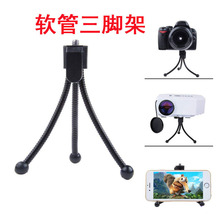 �O��֧��ͶӰ�x�f��ܛ�����_���֙C�����y