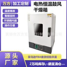 电热恒温鼓风干燥箱实验室工业高温 检验检测干燥箱循环烘干箱