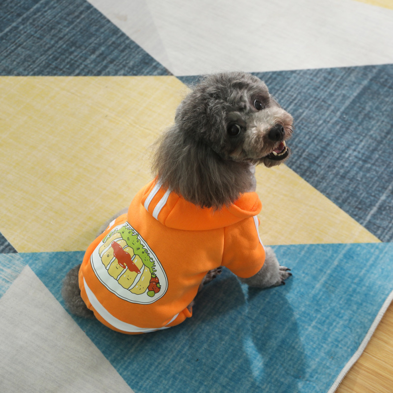 小中大型犬春秋冬は帽子をかぶっています。|undefined
